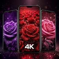 Rosely Rose Wallpaper Live HD icon