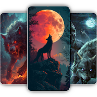Wolf Wallpaper in 4K HD icon