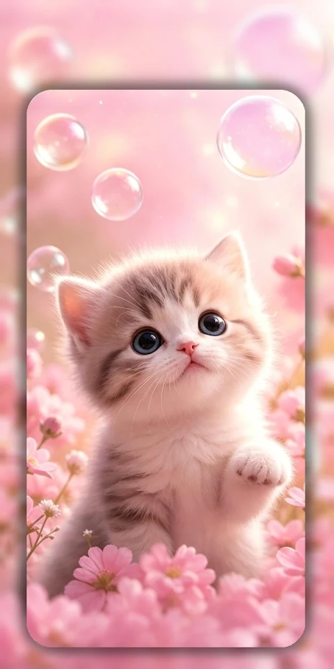 Cute Cat Wallpaper Live HD 4K screenshot