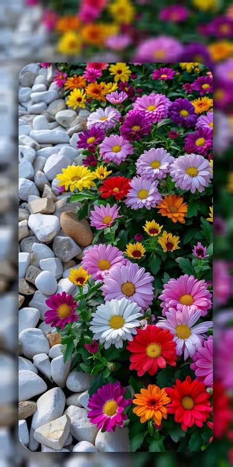 Flower Wallpapers 4K screenshot