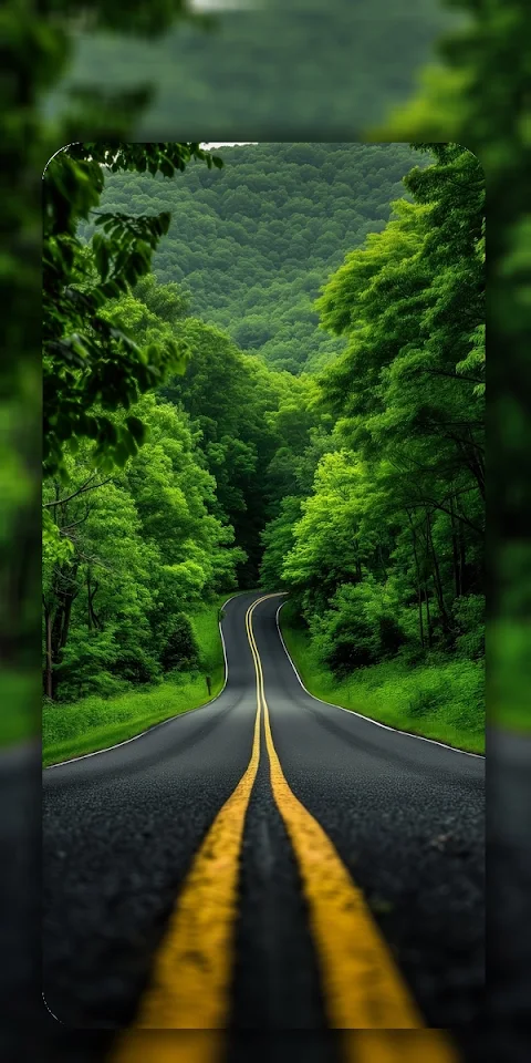 4K Wallpaper & HD Backgrounds screenshot