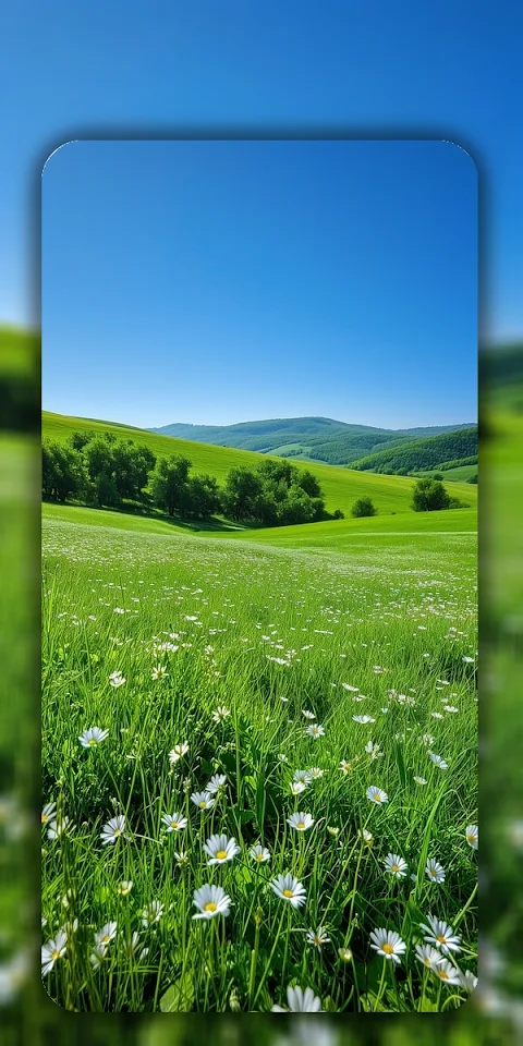 Spring Wallpaper 2024 Live 4k screenshot