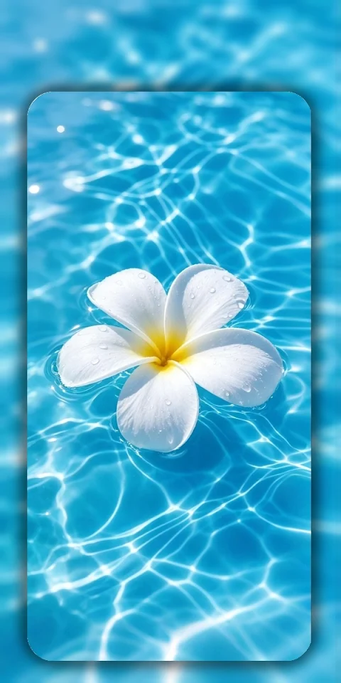 Summer Wallpaper Live in 4K screenshot